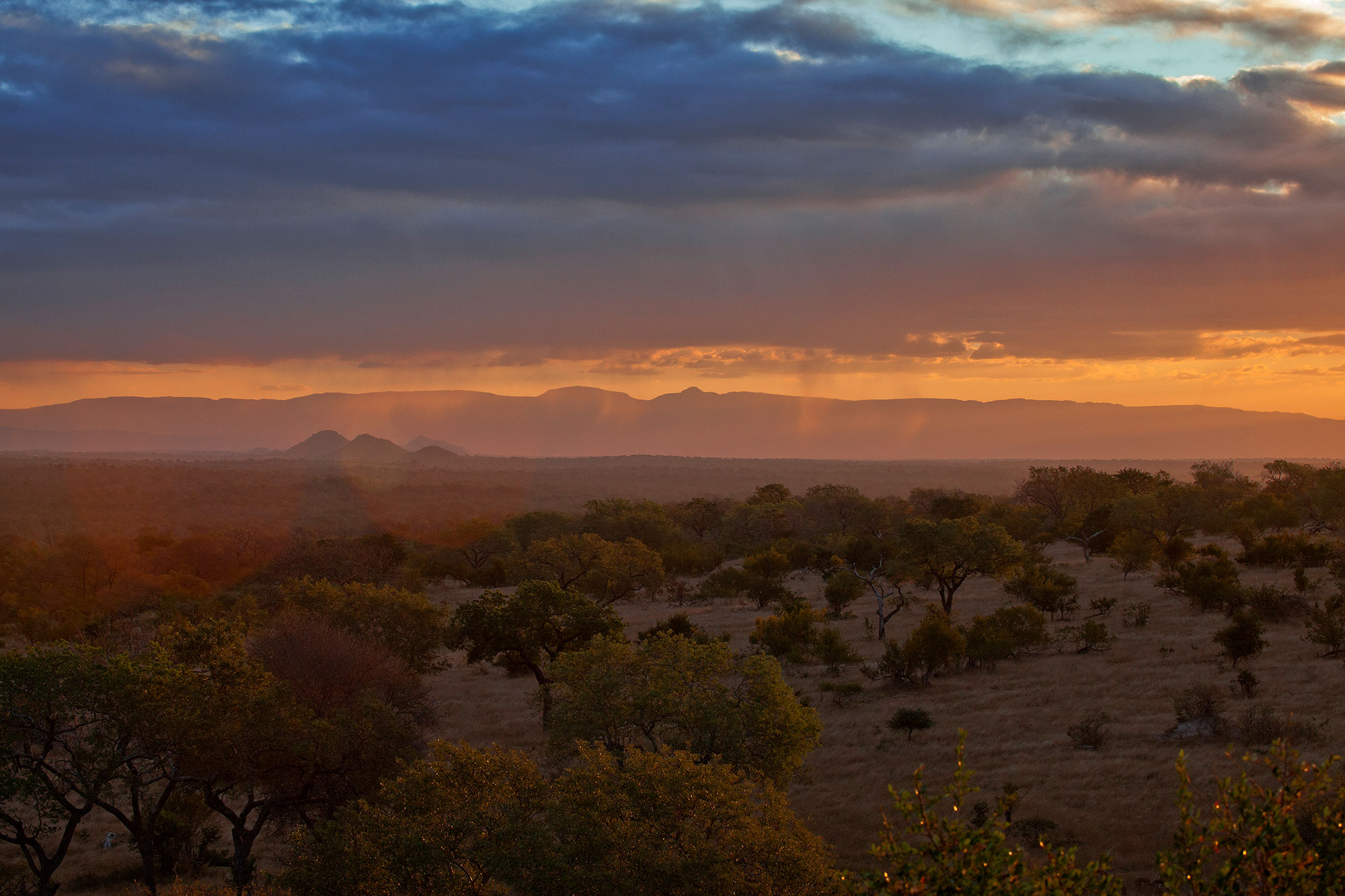 Track Your Wild Life