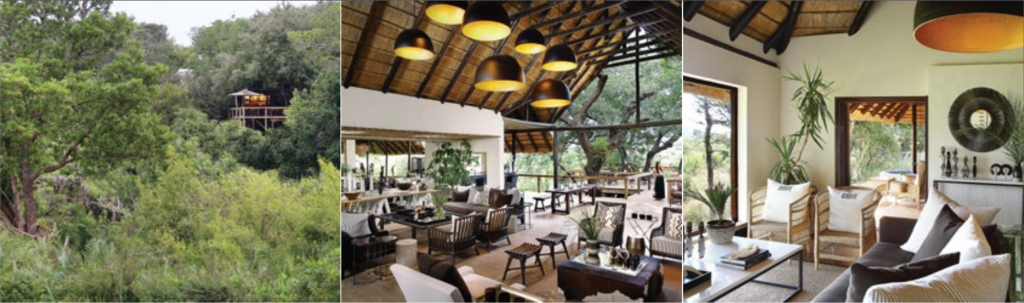 Londolozi Tree Camp