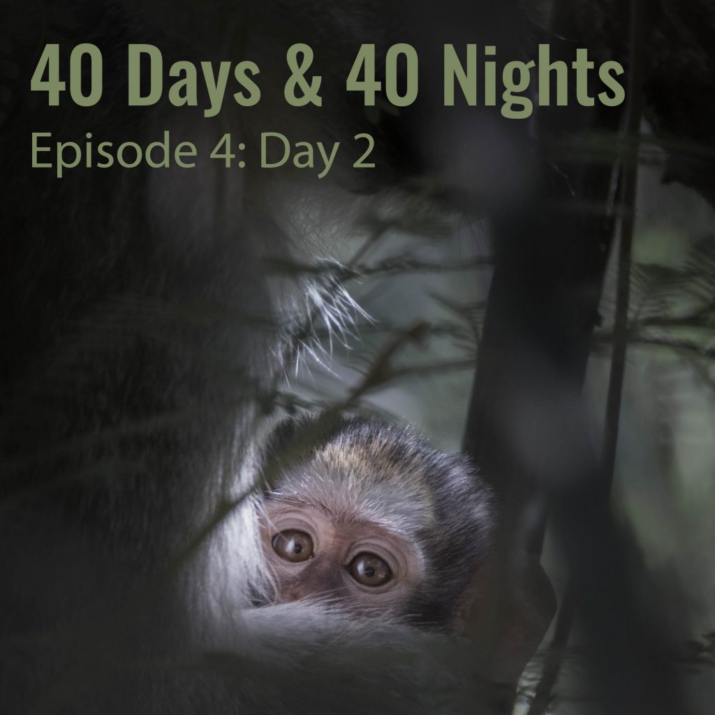Day-2 40 Days and 40 Nights
