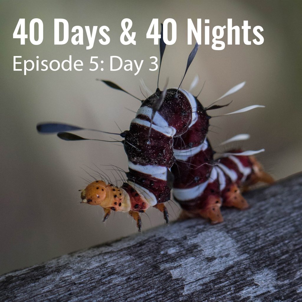 5-Day-3-40 Days and 40 Nights