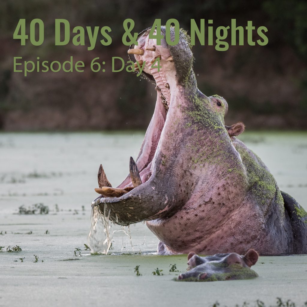 Day-4- 40 Days and 40 Nights Boyd Varty