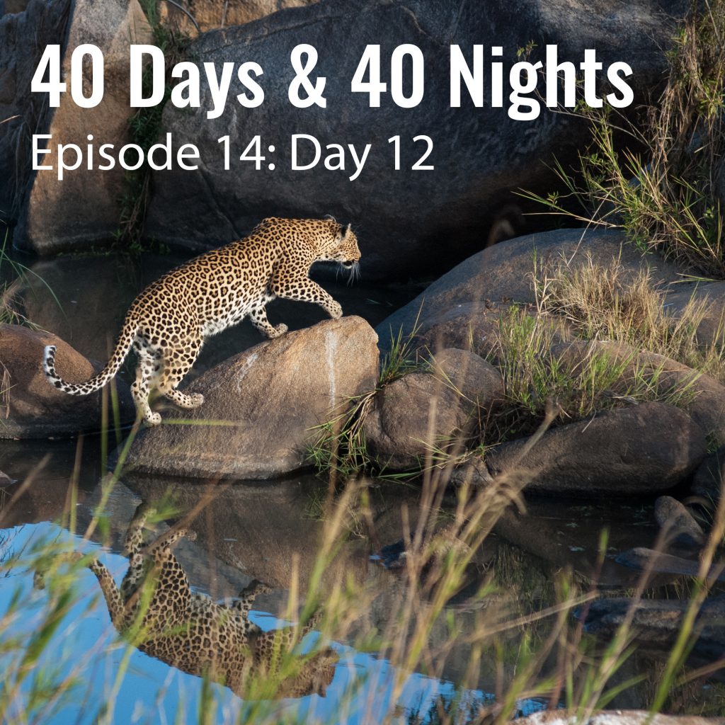 Day-12-40-days and 40 nights