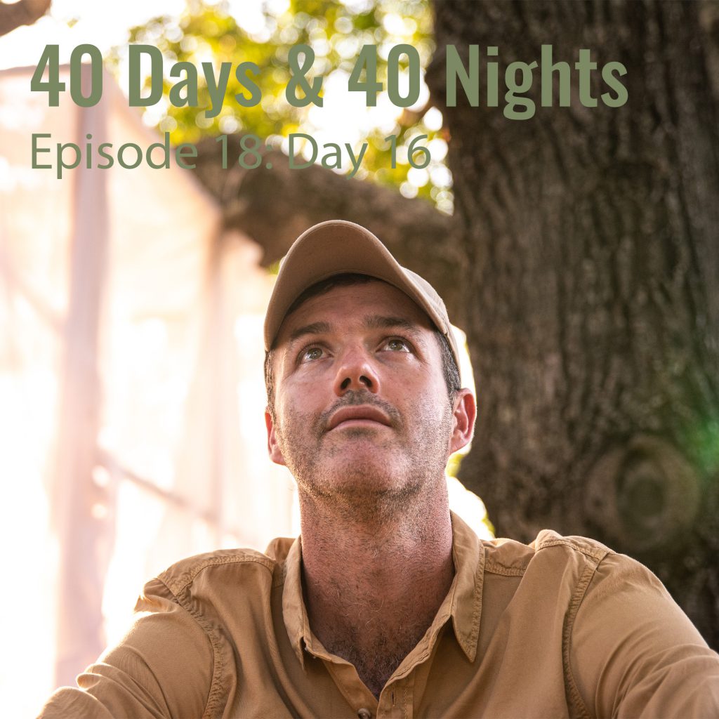 Day-16 40 Days and 40 Nights