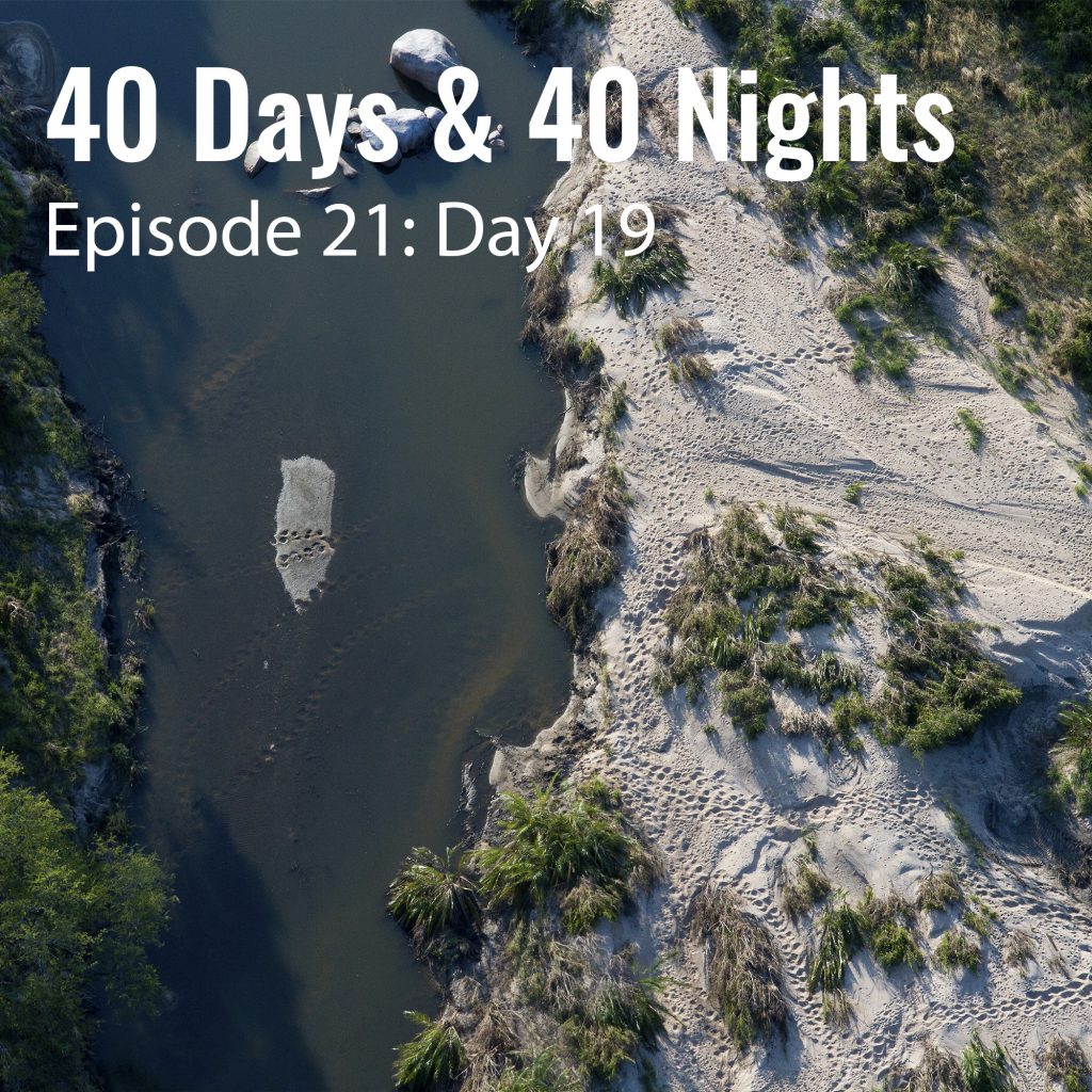 Day 19 40 days and 40 nights