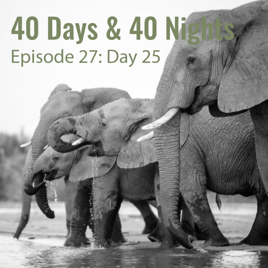 Day-25 40 Days and 40 Nights
