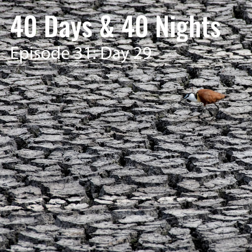 Day-29 40 days and 40 nights Boyd Varty