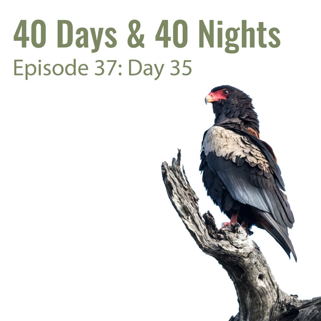Day-35 40 Days and 40 nights Boyd Varty