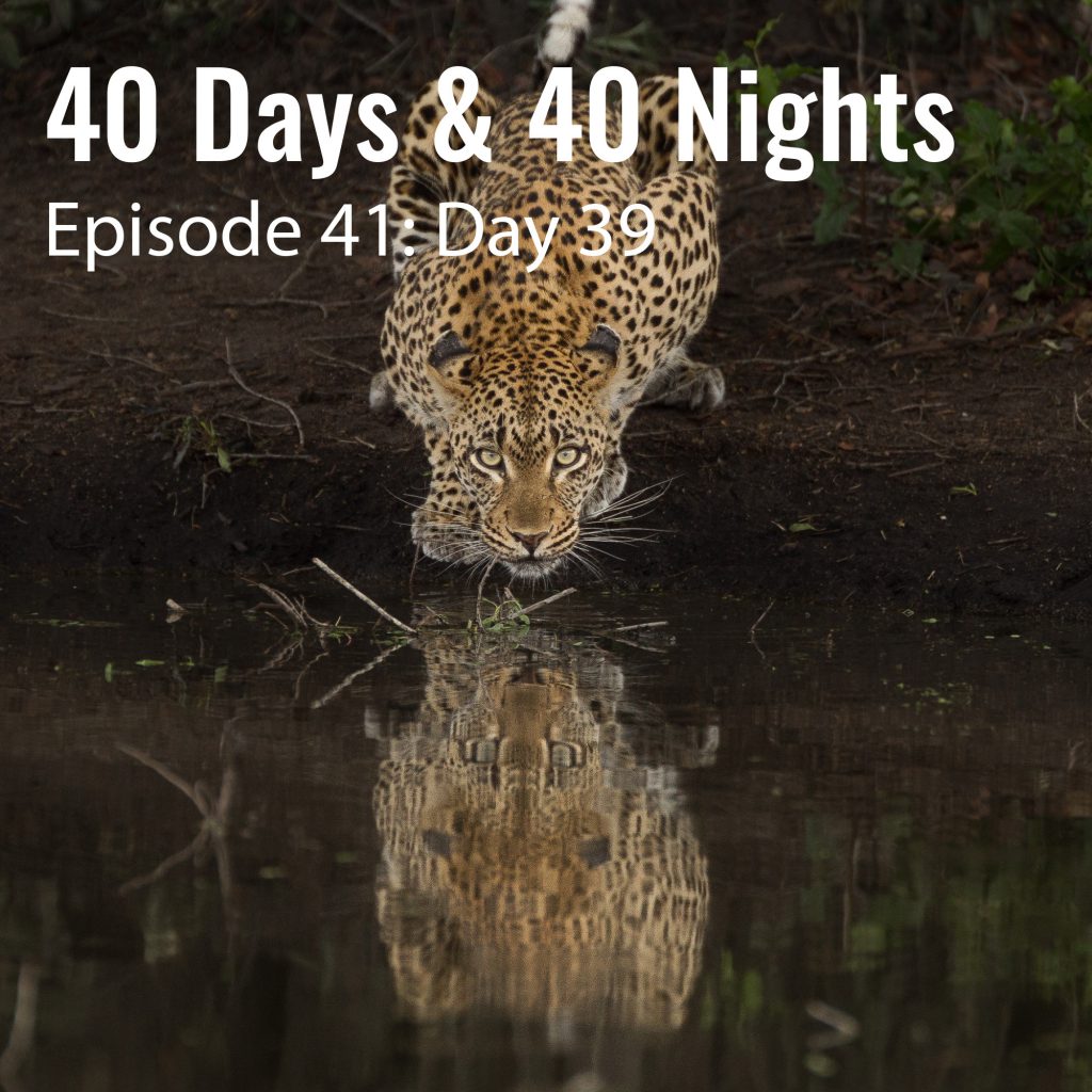 Day-39 40 days and 40 nights