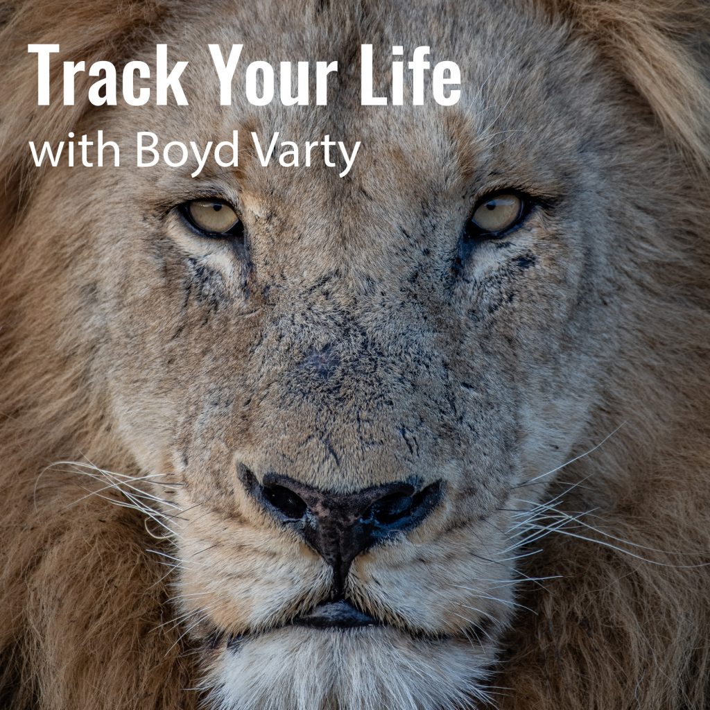 Track Your Life with Boyd Varty Episode 43