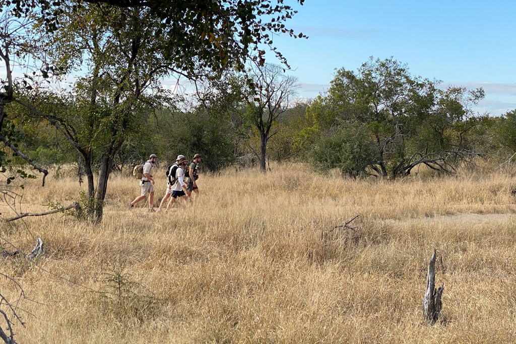 Boyd Varty Boundary Walk