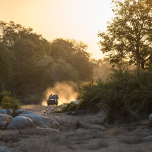 Londolozi Game Reserve, Kruger National Park, Varty Camp