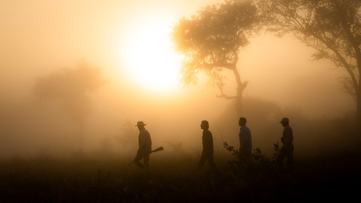 Londolozi Safari Experience Tracking | Boyd Varty